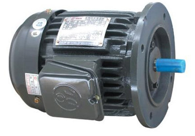 Motor TECO Chân Đế IE2 - 4Poles